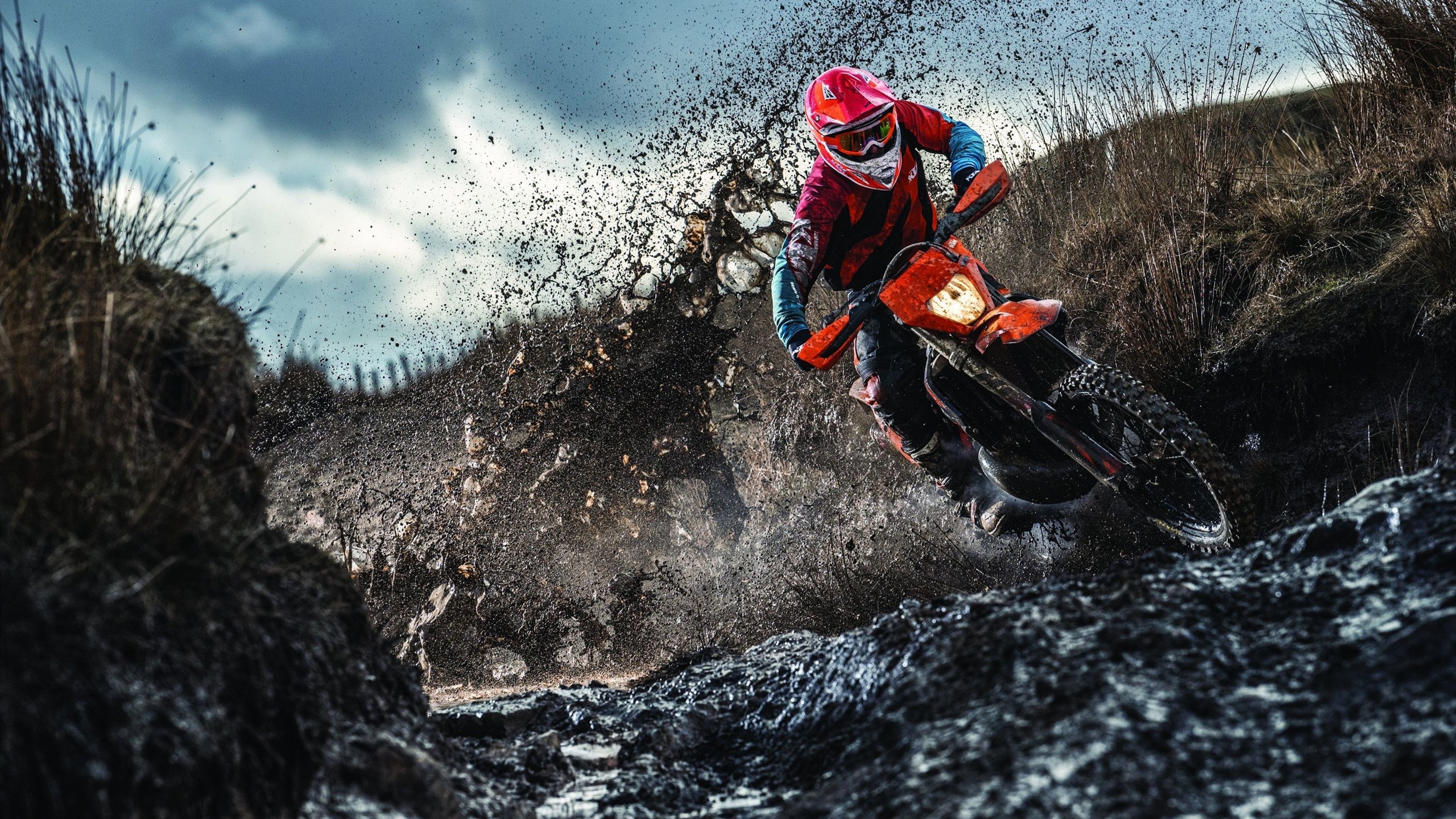 乐鱼（中国）体育官方网站-_场外故事：运动员公益慈善引关注_，善待运动员